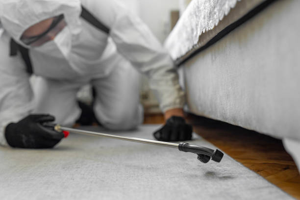 Professional Cockroach Control technician working in Wallis, TX