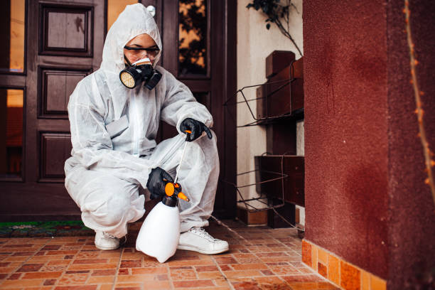 Reliable Cockroach Control contractor in Wallis, TX by Nex Pest Control
